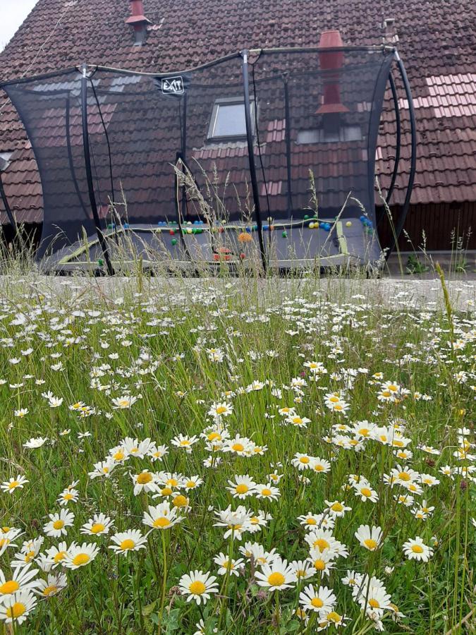 Na Budarce Paseky nad Jizerou Eksteriør bilde