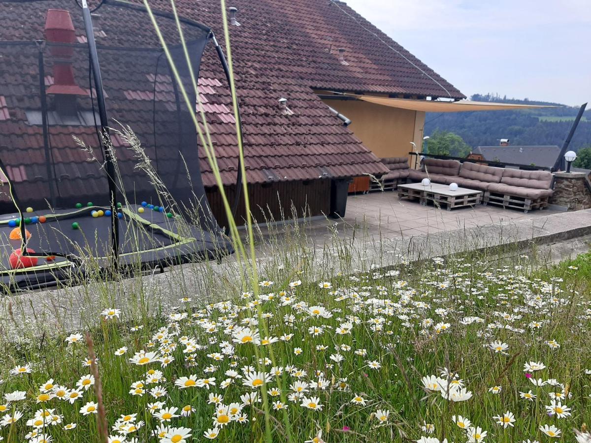 Na Budarce Paseky nad Jizerou Eksteriør bilde