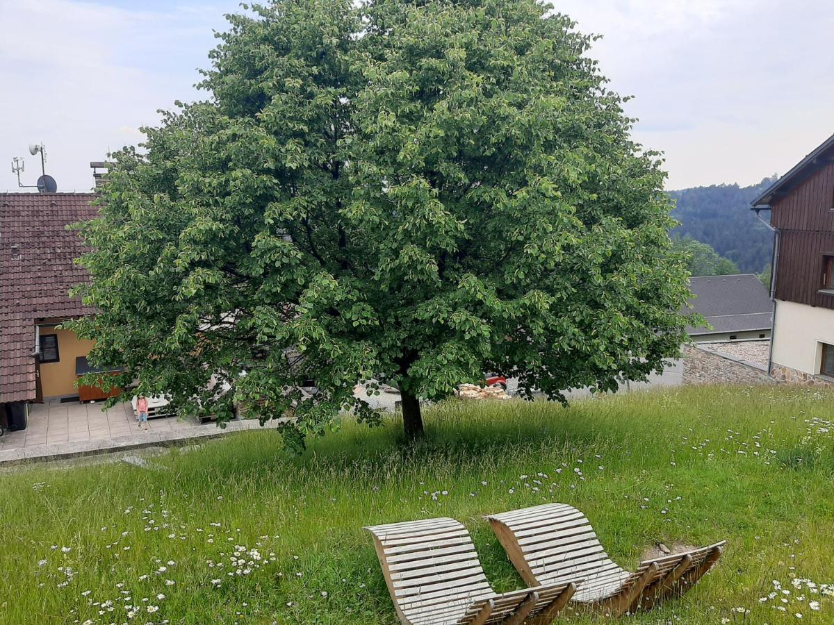 Na Budarce Paseky nad Jizerou Eksteriør bilde